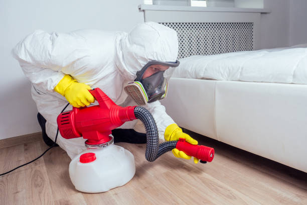 Best Bed Bug Extermination  in Cheshire Village, CT