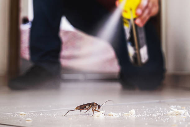 Best Cockroach Control Services  in Cheshire Village, CT